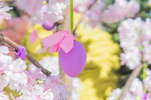 violetta påskägg hänga på blommande äppelträdsgren. påsk dekoration och firande koncept. foto