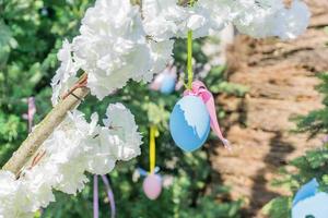 blått påskägg hänger på blommande applw trädgren. påsk dekoration och firande koncept. foto