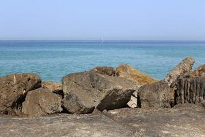 nahariya israel 5 juni 2019. stenar och snäckor vid Medelhavets stränder. foto