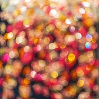 färgglada bokeh-lampor foto