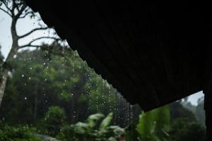 regn och löv, vatten droppar på regnig dag foto