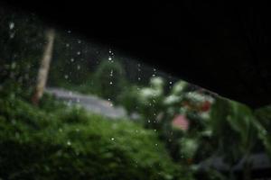 regn och löv, vatten droppar på regnig dag foto
