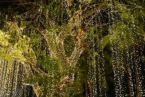 dekorativa utomhus ljusslingor hängande på träd i trädgården på natten foto