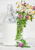 färsk mjölk i gammaldags flaska och vilda blommor