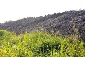 en låg vinkel se ser genom frodig ogräs gräs till en stor mound av jorden. foto