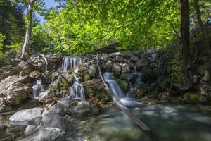 berg flod ström vattenfall grön skog landskap natur växt träd regnskog djungel foto