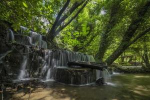 berg flod ström vattenfall grön skog landskap natur växt träd regnskog djungel foto