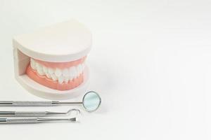 tandmodellen på vit bakgrund för tandinnehåll. foto