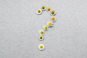 fråga mark av daisy blommor på en grå bakgrund foto