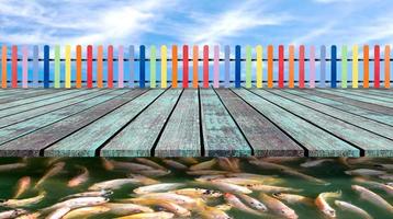 varicolored trä- staket och golv trä med nile tilapia fisk foto