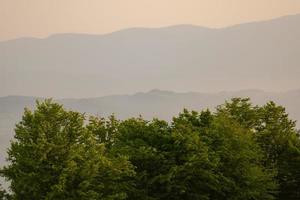 landskap natur sommar foto