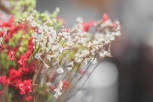 färgrik gräs vild blommor med fläck bakgrund foto