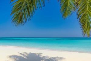 sommar strand bakgrund handflatan träd mot blå himmel baner panorama, tropisk resa destination. vit sand, blå hav exotisk landskap, Fantastisk sommar bakgrund