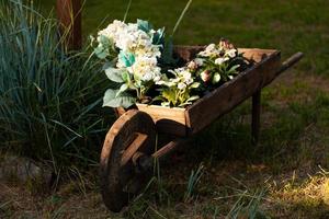 Foto en trä- vagn med växter och blommor.