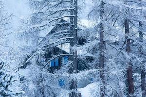 byhus gömt bakom träden foto