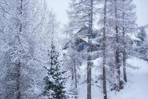 byhus gömt bakom träden foto