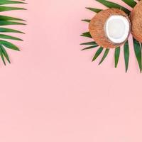 palmblad och kokosnötter på rosa pastell bakgrund foto