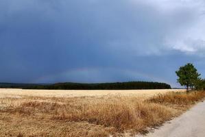 fantastisk naturlig dubbel- regnbågar plus övertalig bågar sett på en sjö i nordlig Tyskland foto