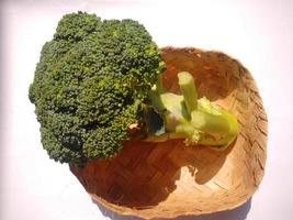 broccoli isolerat på en vit bakgrund, broccoli är en cultivar av de samma arter som kål och blomkål, nämligen brassica oleracea. foto