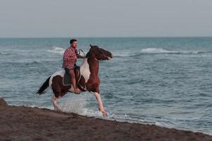 en modern man i sommar kläder åtnjuter ridning en häst på en skön sandig strand på solnedgång. selektiv fokus foto