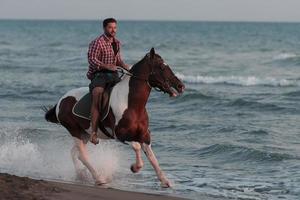 en modern man i sommar kläder åtnjuter ridning en häst på en skön sandig strand på solnedgång. selektiv fokus foto