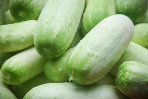 friskhet gurka organisk grönsak. friska äter begrepp foto