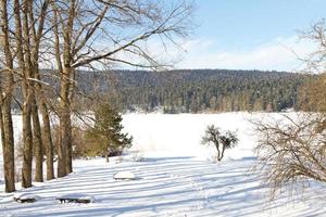 överflödig sjö, bolu, Kalkon foto