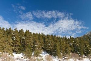 skog och moln från överflödig, bolu, Kalkon foto