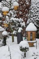 vinter- tid i en tysk trädgård foto