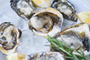 närbild öppet ostronskal med örtkryddor citron rosmarin serveras bord och is hälsosam skaldjur rå ostronmiddag i restaurangen gourmetmat - färska ostron skaldjur på svart tallrikbakgrund foto