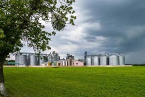 modern spannmålshiss och frörensningslinje. silversilos på agro-bearbetnings- och tillverkningsanläggning för bearbetning av kemtvätt och lagring av jordbruksprodukter, mjöl, spannmål och spannmål. foto