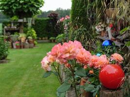 blödning blommor i en tysk trädgård foto