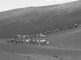 lanzarote ön i spanien foto