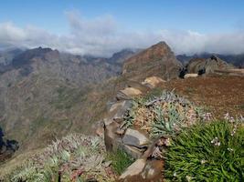 ön madeira foto