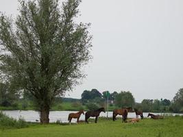 de stad av doburg i de nederländerna foto