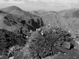 Funchal och ön madeira foto