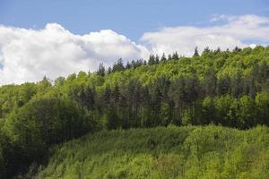 natursköna gröna böljande kullar mot den blå himlen med moln. foto