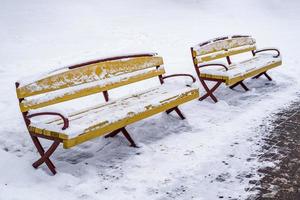 gul trä- parkera bänkar täckt med snö foto