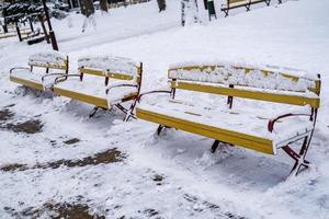 gul trä- parkera bänkar täckt med snö foto