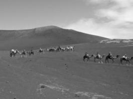 lanzarote ön i spanien foto