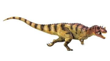 ceratosaurus dinosaurie på vit isolera bakgrund klippning väg foto