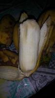 utsökt gul bananer. enkel Foto. foto