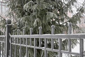 frost på en smidesjärn staket i de morgon- efter en kall vinter- natt foto
