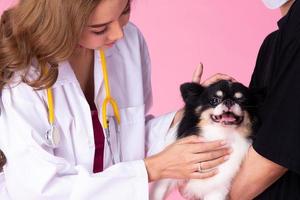 veterinär läkare ha på sig kaxig rosa klänning, kolla upp upp gammal sjuk hund för hälsa tillstånd foto