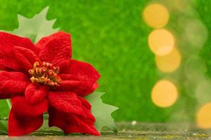 röd julstjärna. jul traditionell blomma på grön gnistrande bakgrund med bokeh lampor. festlig hälsning kort med kopia Plats foto