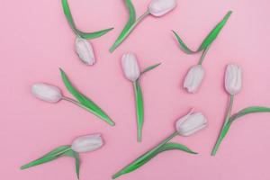 blommor sammansättning. mönster tillverkad av tulpan blommor på rosa bakgrund. platt lägga, topp se. tonad bild. foto