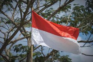Foto av indoensisk flagga