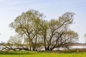 vada hav tideland kust strand vatten landskap lägre saxony Tyskland. foto