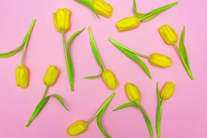 blommig mönster tillverkad av gul tulpaner på rosa bakgrund. platt lägga, topp se. Semester bakgrund foto