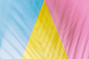 skuggor av handflatan blad på geometri bakgrund av gul, rosa och blå färger. platt lägga stil. foto
